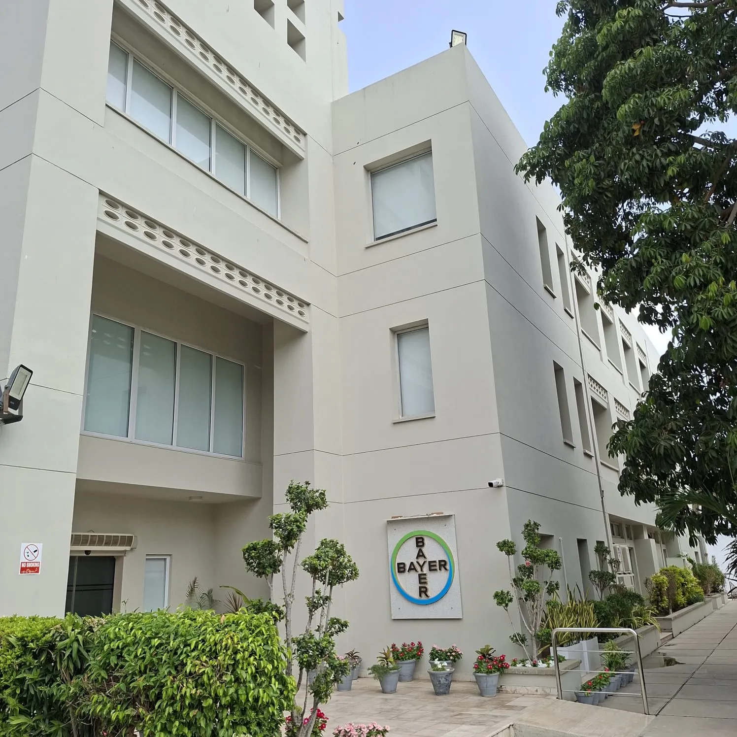 Bayer Pharma